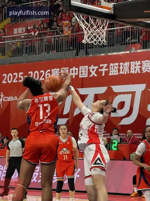 巅峰对决的两种剧本：四川女篮的复仇盛宴与山西女篮的战术困境