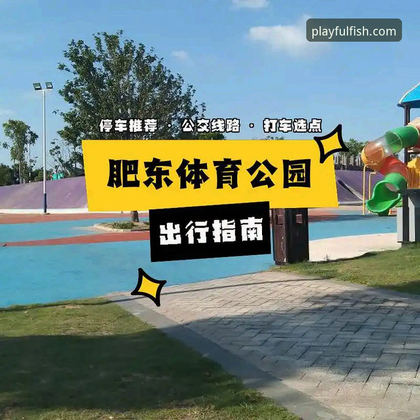 乐鱼体育稳定版本 乐鱼体育平台稳定版本完整指南:从下载到使用的全流程解析